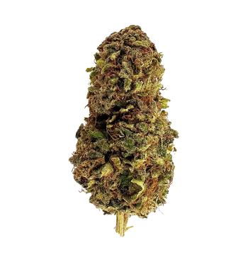 Dark Labubud - THCA Flower