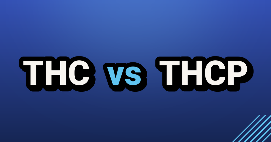THC vs THCP - TealerLab