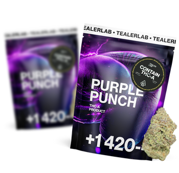 Purple Punch 1g buy = 1g free