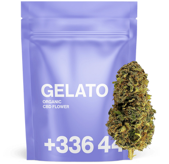Gelato - CBD Flower