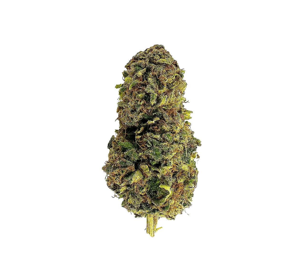Gelato - CBD Flower