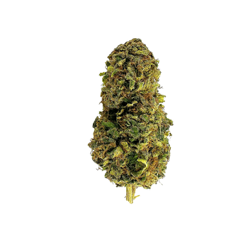 Gelato - CBD Flower