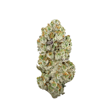 Cornetto Haze - THCA Flower