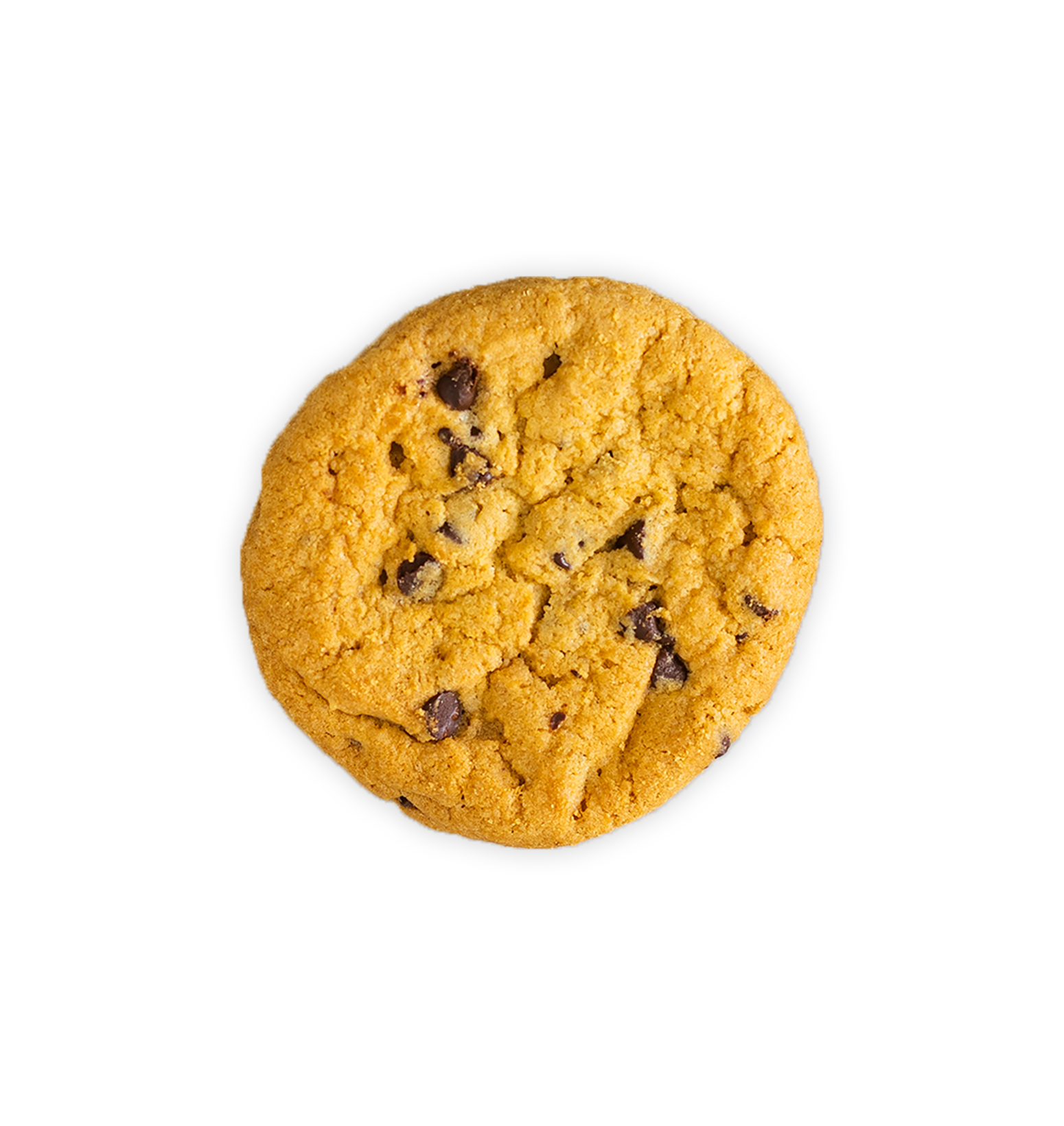 Cookie 100mg - Delta 9