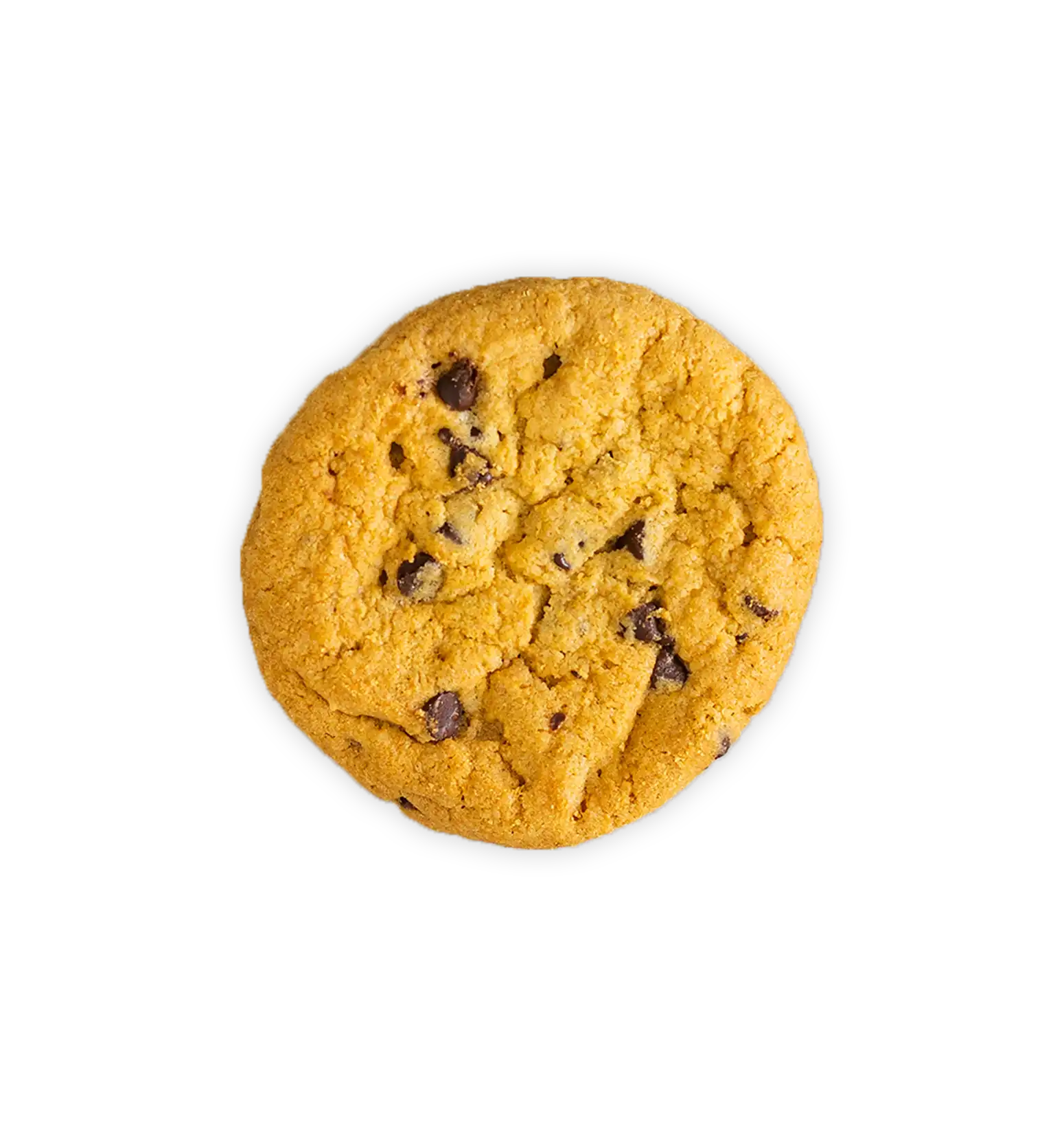 Cookie 100mg - Delta 9