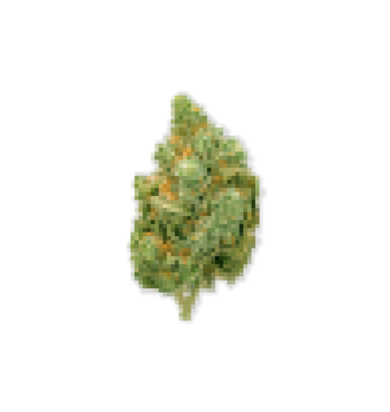 CBD Flower - Free Sample