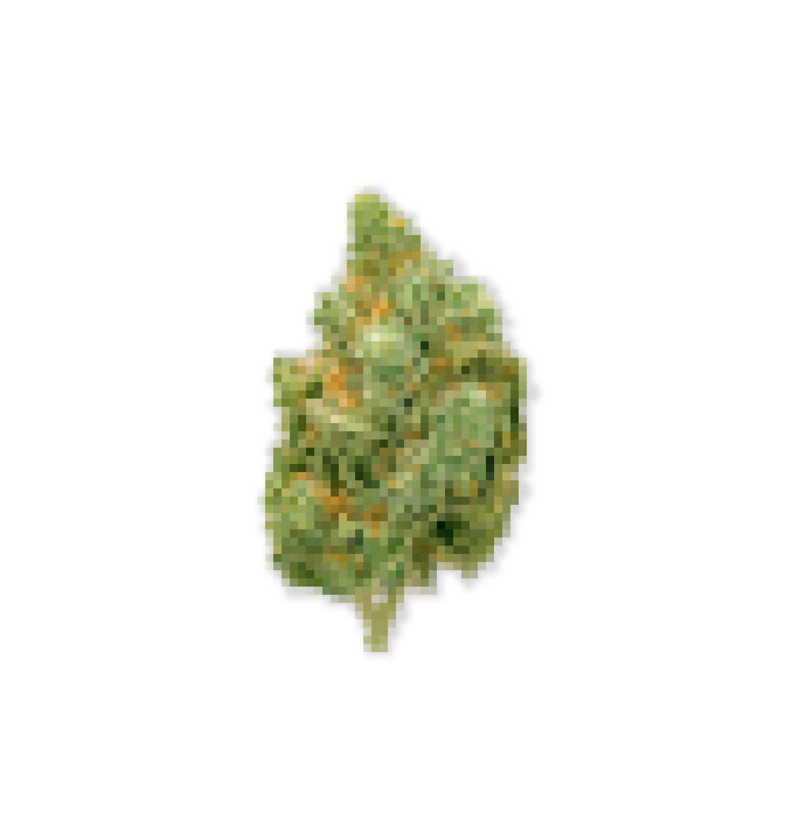 CBD Flower - Free Sample