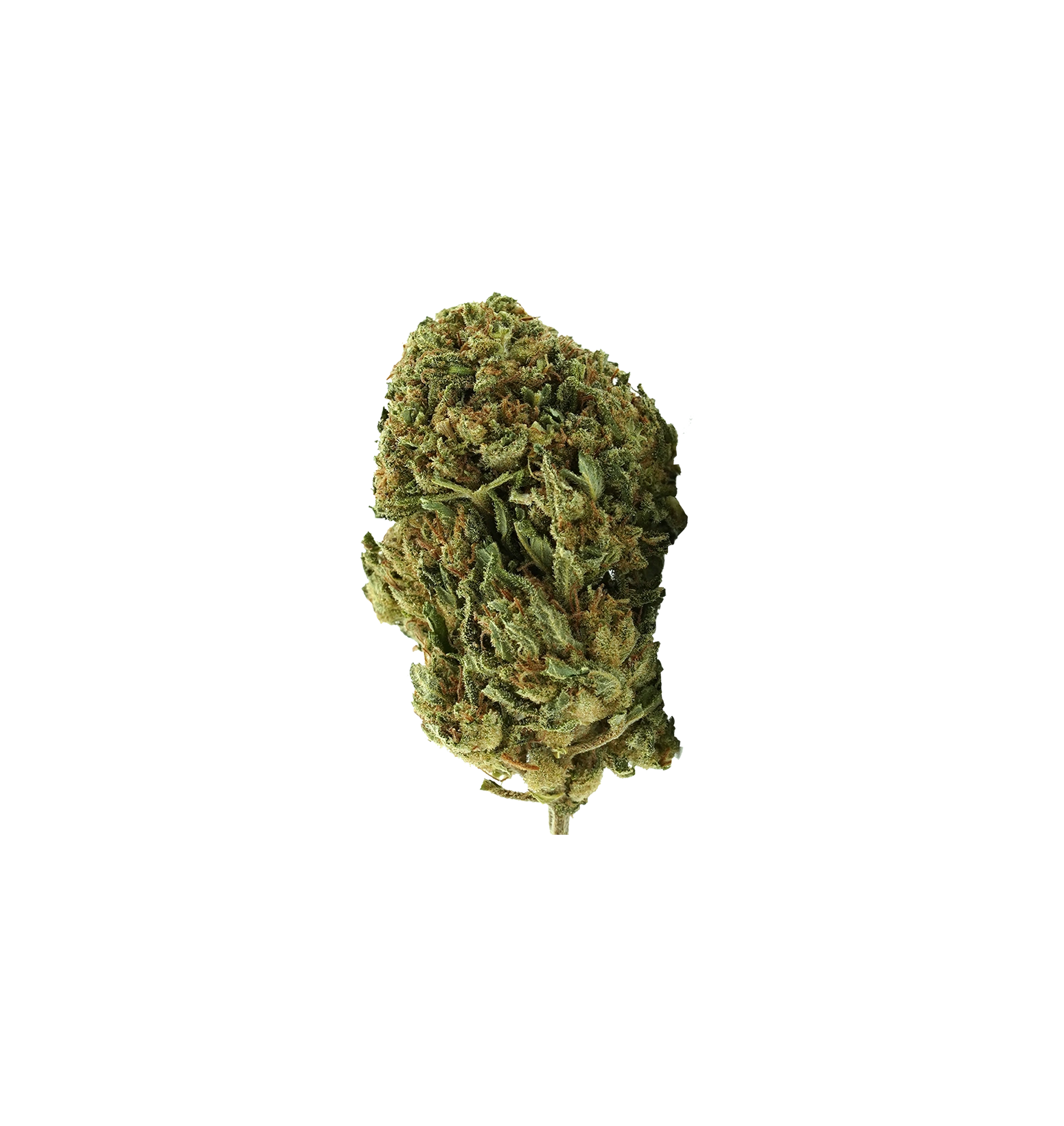 OG Kush - CBD Flower