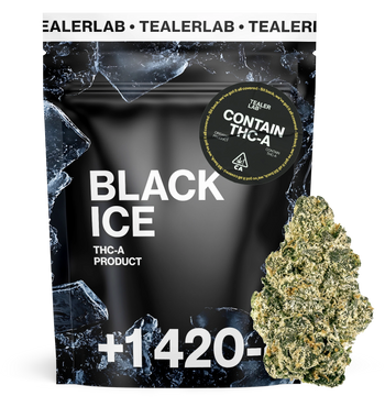 Black Ice Indoor - THC-A Flower