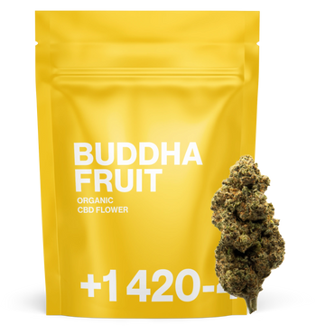 Buddha Fruit - CBD Flower