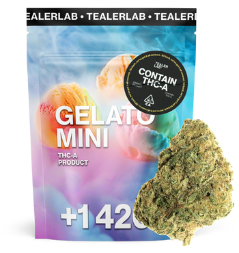 Gelato mini - THC-A Flower