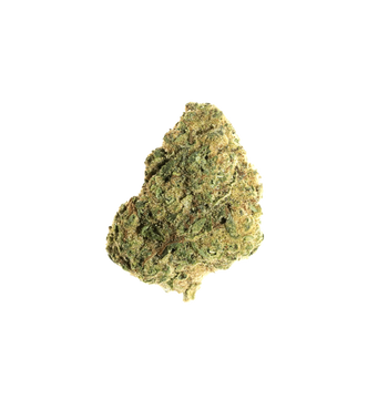 Gelato mini - THC-A Flower