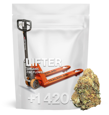 Lifter - CBD Flower