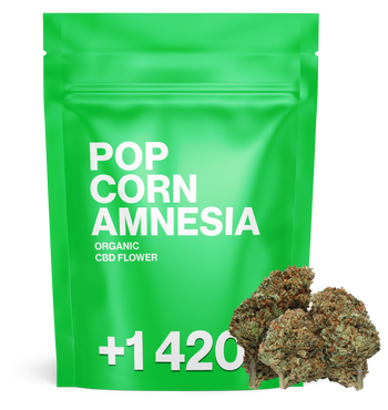 Pop Corn Amnesia - CBD Flower
