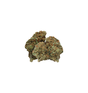 Pop Corn Amnesia - CBD Flower