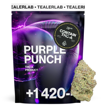 Purple Punch - THCA Flower