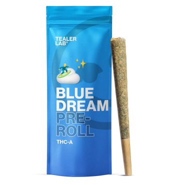 Blue Dream THCA Pre-Roll (Big)