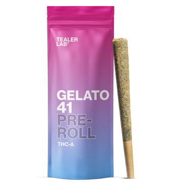 Gelato 41 – THCA Pre-Roll (Big)