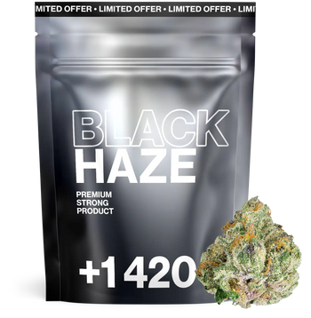 Black Haze - THCA Flower