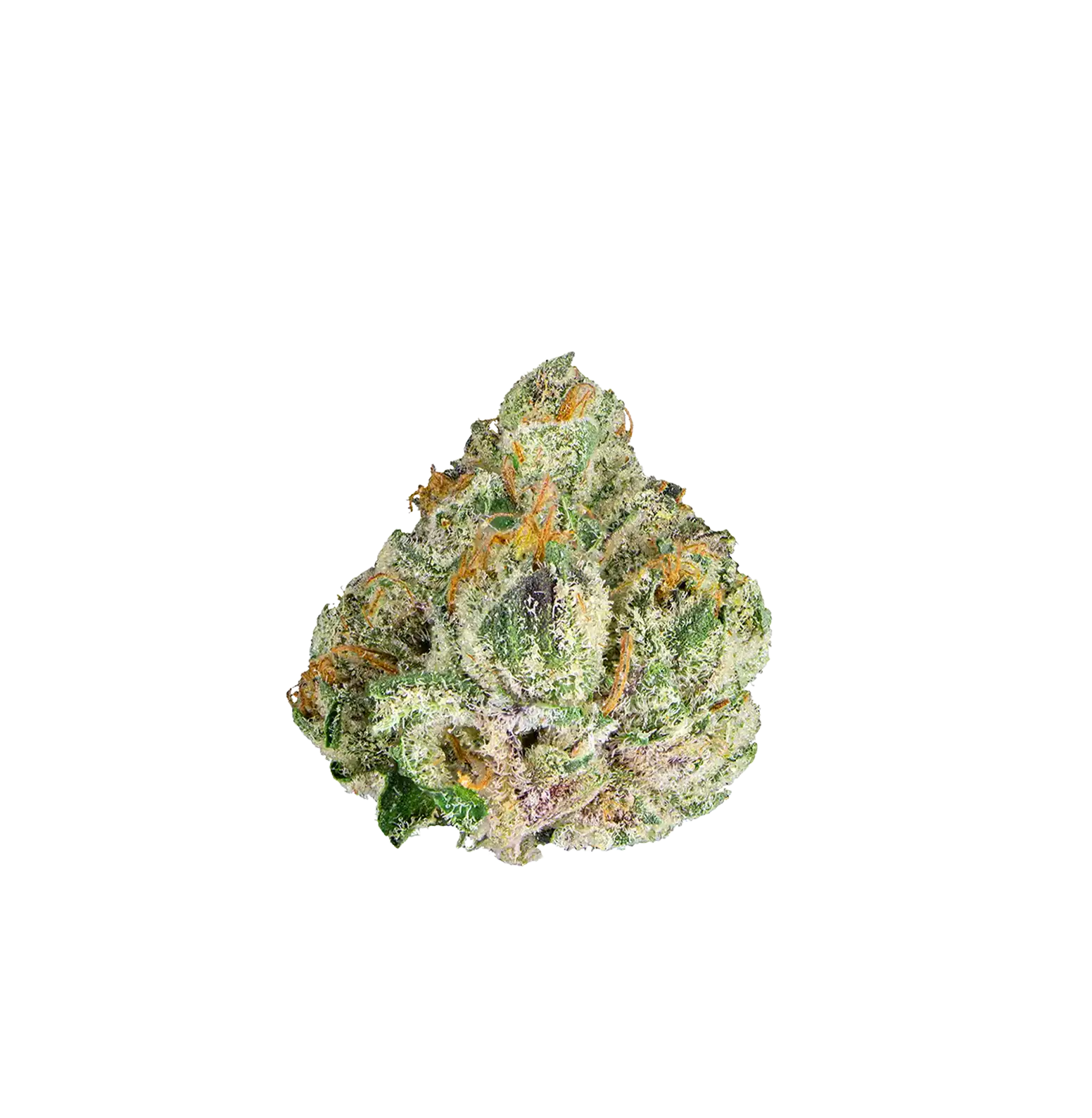 Black Haze - THCA Flower