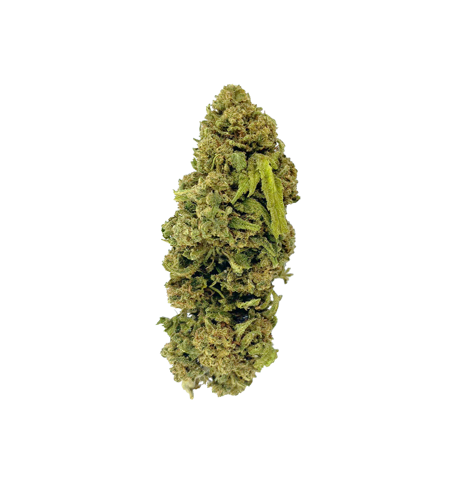 Wolverine OG - THCA Flower