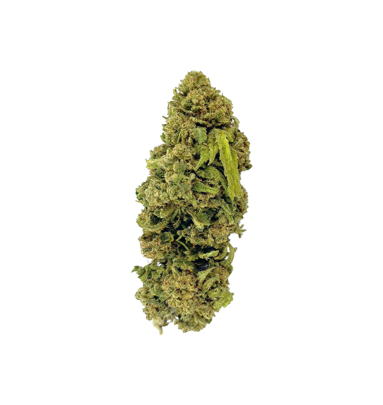 Wolverine OG - THCA Flower